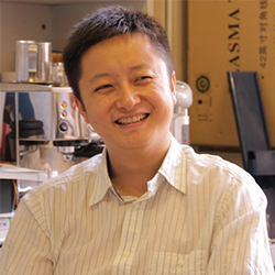 劉    帆