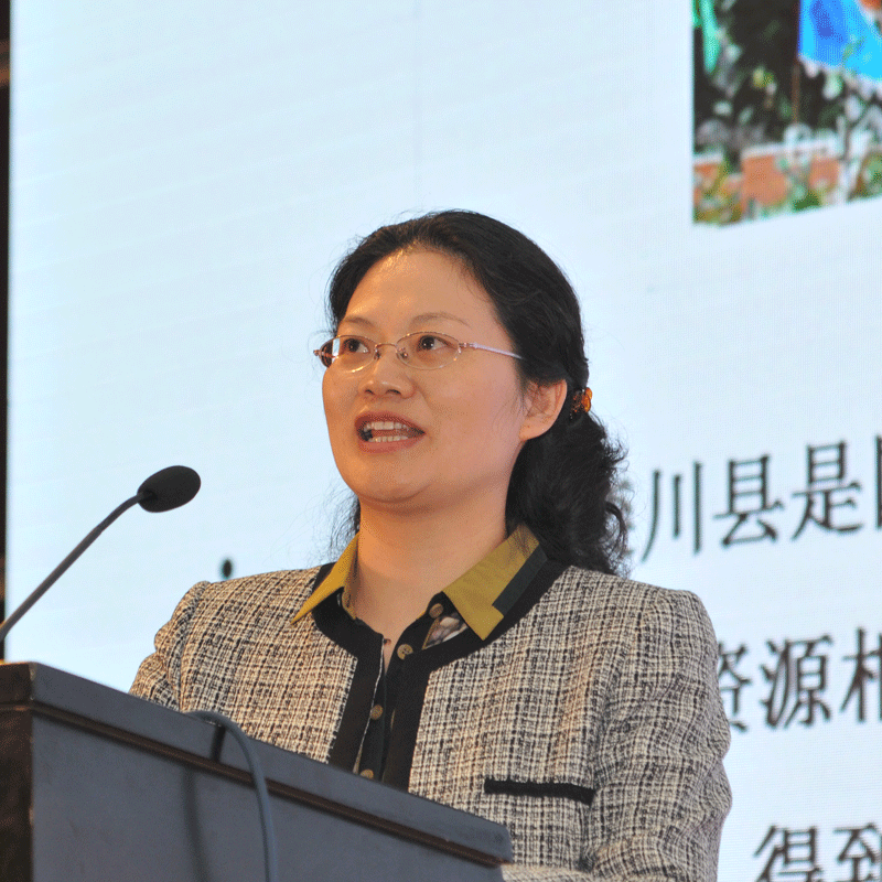 婁丹